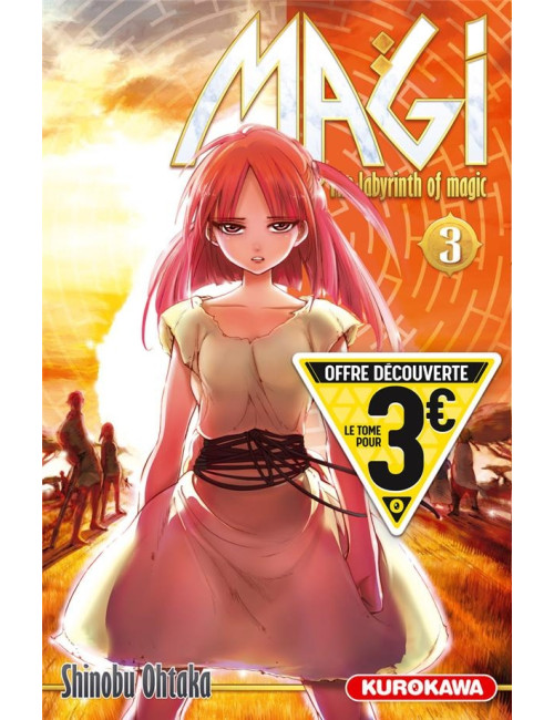 Magi - The Labyrinth of Magic T03 (VF)