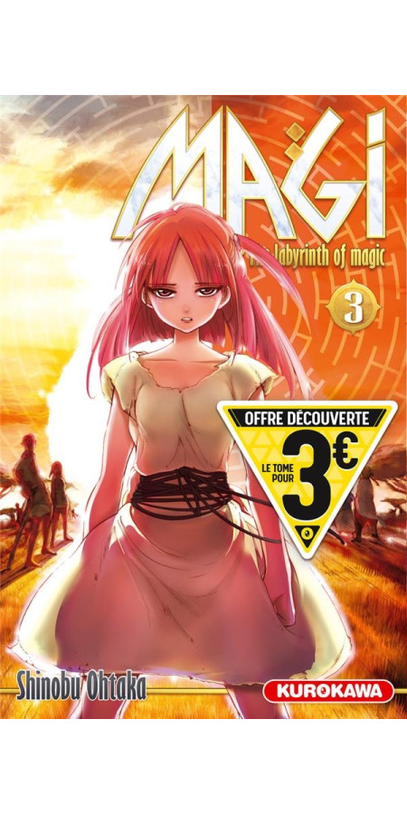 Magi - The Labyrinth of Magic T03 (VF)