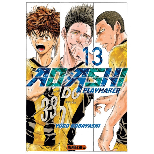 AO ASHI TOME 13 (VF)