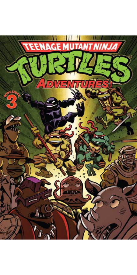 Tortues Ninja : Teenage Mutant Ninja Turtles Adventures Volume 3 (VF)