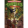 Tortues Ninja : Teenage Mutant Ninja Turtles Adventures Volume 3 (VF)