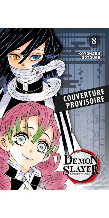 Demon Slayer - Edition Pilier T08 (VF)