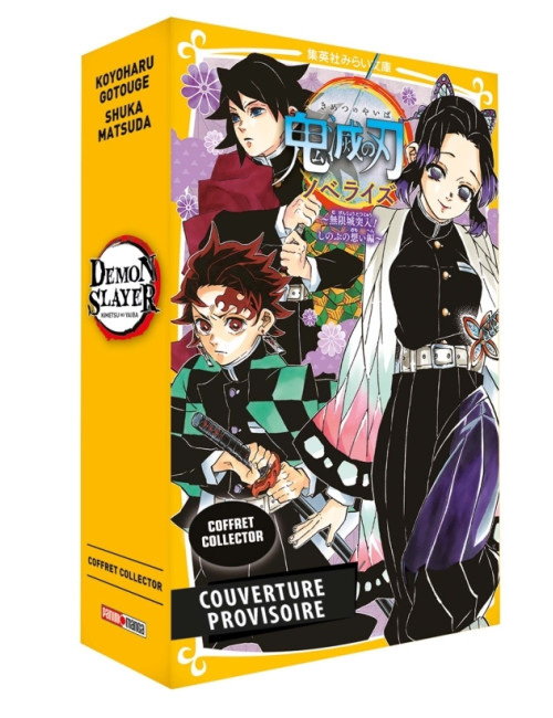 Coffret Demon Slayer T15 + Roman jeunesse T06 (VF)