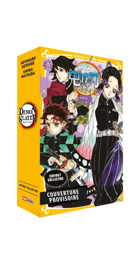 Coffret Demon Slayer T15 + Roman jeunesse T06 (VF)