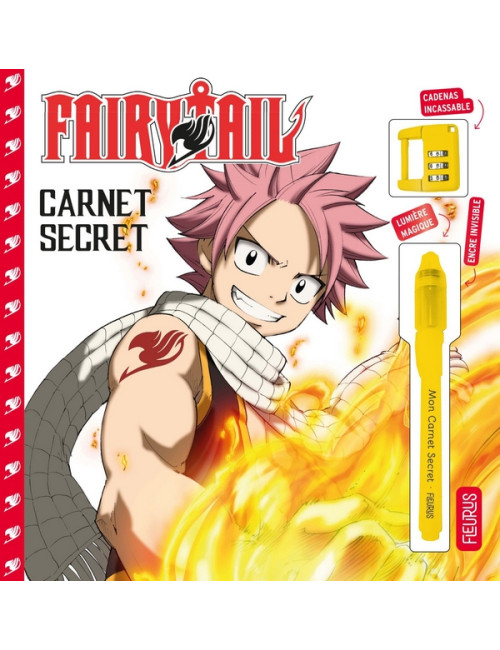 Carnet secret - Fairy Tail (VF)