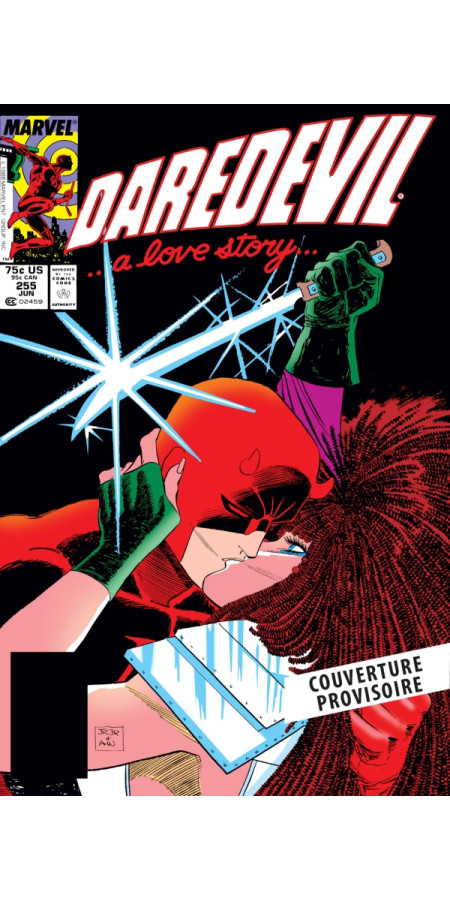 Daredevil par Nocenti/Romita Jr. Omnibus (VF)