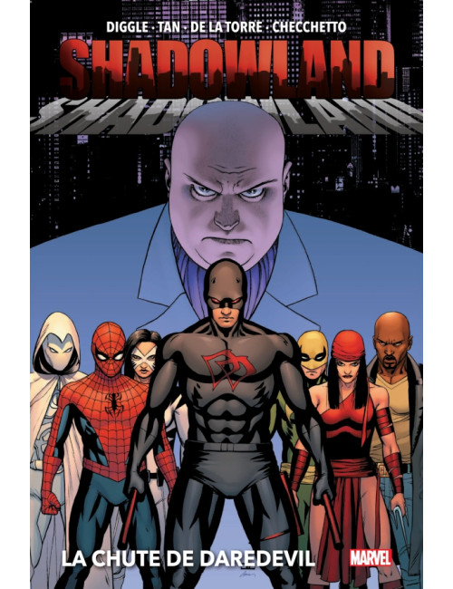 Shadowland : La chute de Daredevil (Nouvelle édition) (VF)