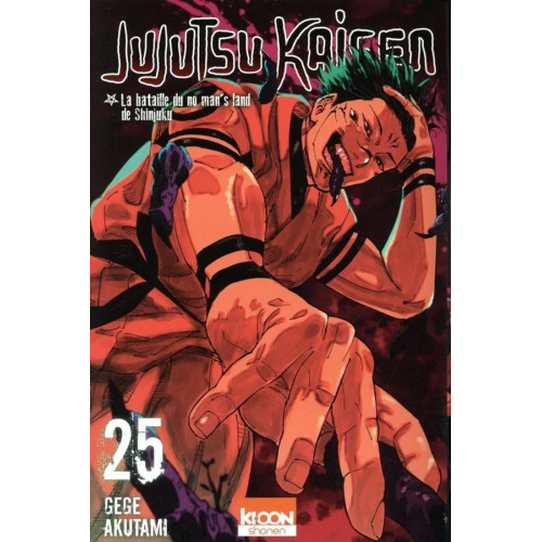 Jujutsu Kaisen Tome 25 (VF)