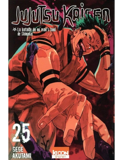 Jujutsu Kaisen Tome 25 (VF)