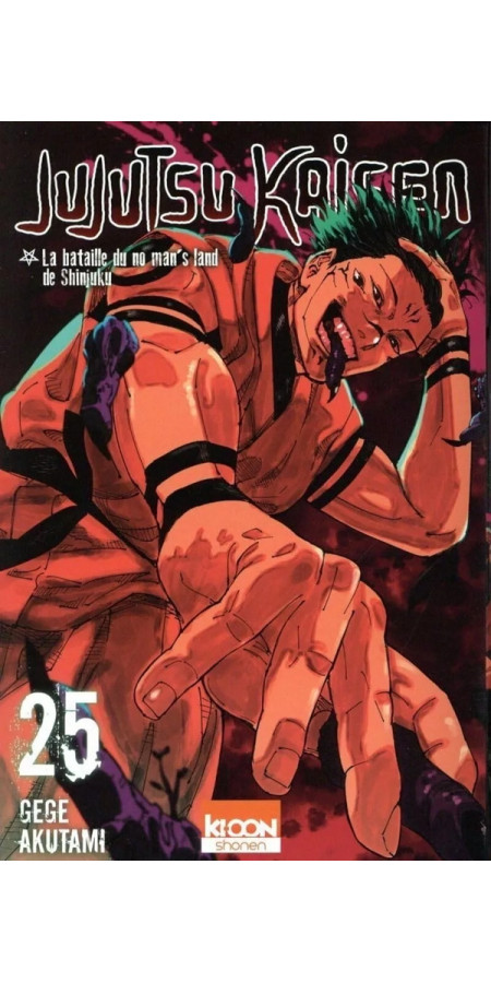 Jujutsu Kaisen Tome 25 (VF)