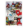 Spider-Man par Michelinie & Bagley(VF)