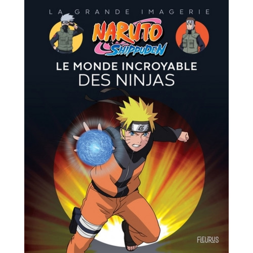 NARUTO SHIPPUDEN - LE MONDE INCROYABLE DES NINJAS (VF)