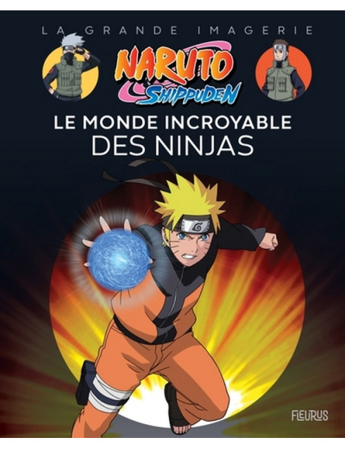 NARUTO SHIPPUDEN - LE MONDE INCROYABLE DES NINJAS (VF)