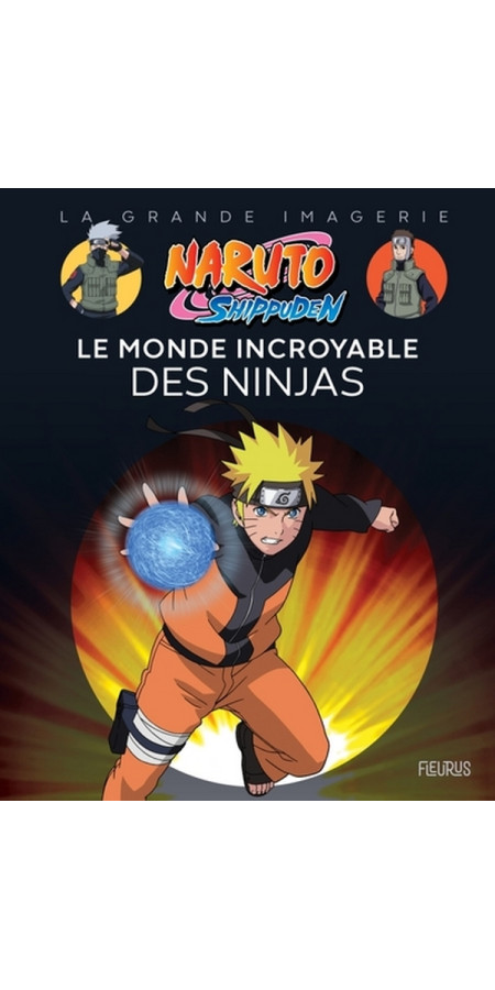 NARUTO SHIPPUDEN - LE MONDE INCROYABLE DES NINJAS (VF)