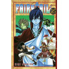 Fairy Tail - Tomes 25 & 26 (VF) occasion