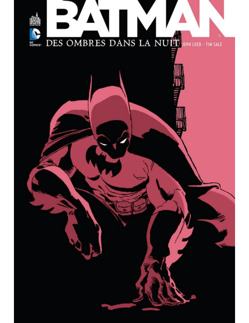 Batman Des Ombres dans La Nuit (VF)