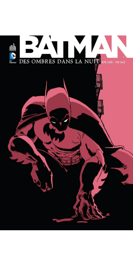 Batman Des Ombres dans La Nuit (VF)