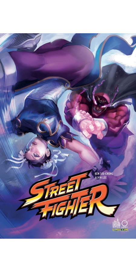 Street Fighter Tome 2 (VF)